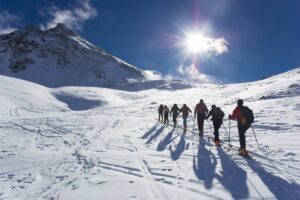 11 Best Alternatives to Orioly: 2025 Comparison Guide