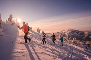 20 Top-Rated Tour Operator Software (2026 Comparison Guide)