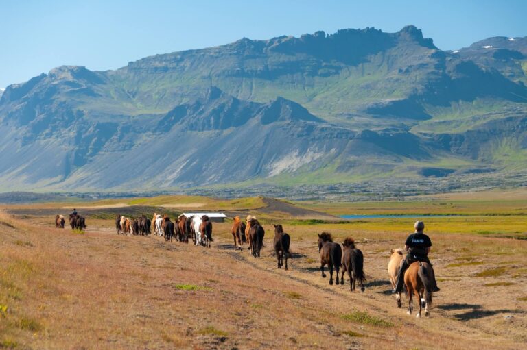 Best Horseback Riding Booking Software (2026 Comparison Guide)