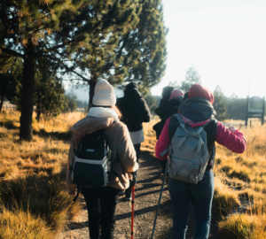 Foliage-maxxing: how experience operators can turn autumn colours into bookings